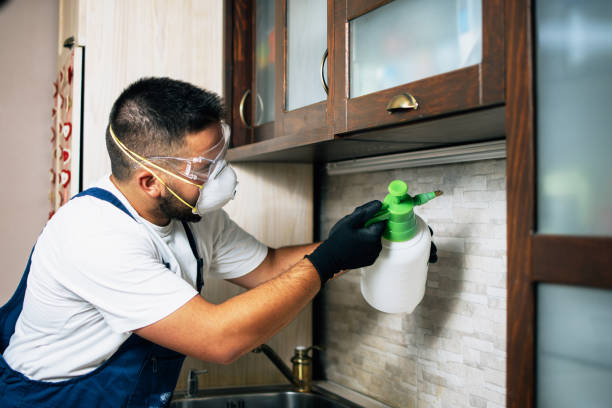 Best Pest Control Near Me in Des Allemands, LA