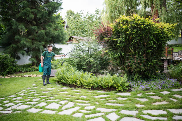 Best Pest Inspection Near Me  in Des Allemands, LA