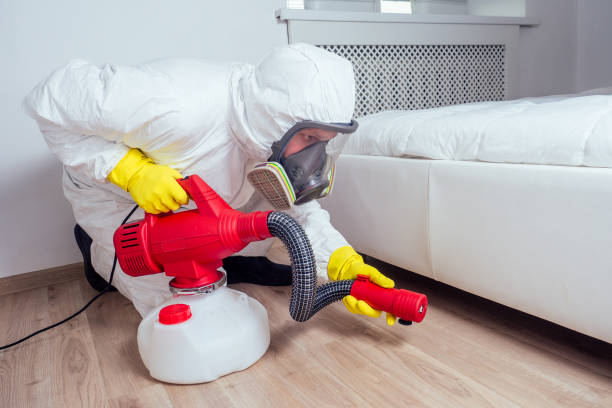 Best Pest Control Treatment  in Des Allemands, LA