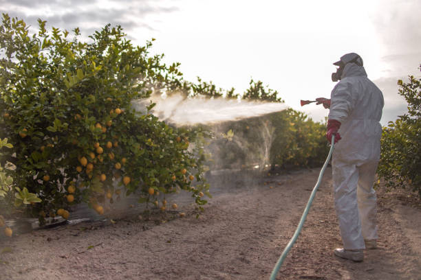 Best Wildlife Control Services  in Des Allemands, LA