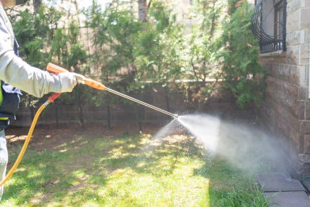 Best Affordable Pest Control Services  in Des Allemands, LA