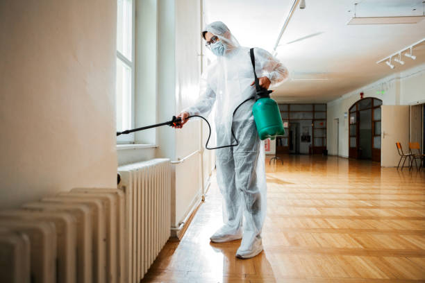 Best Exterminator Services  in Des Allemands, LA